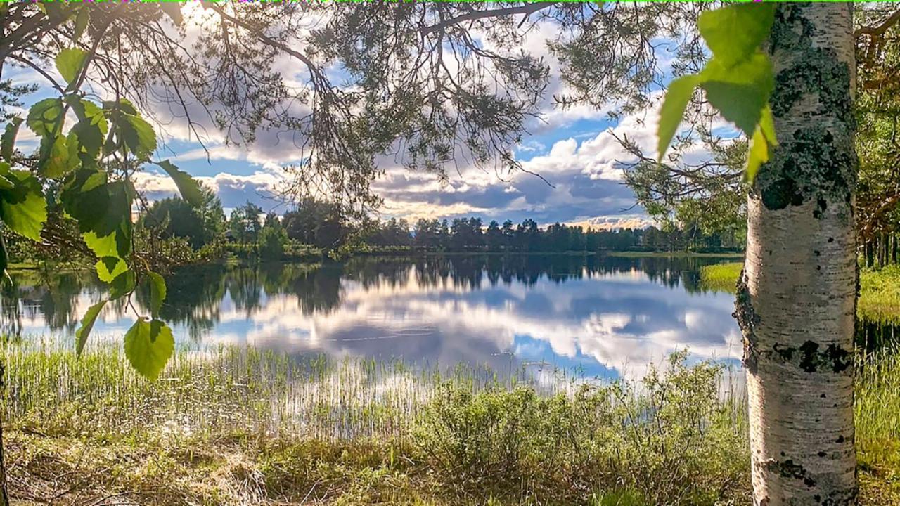 Trollforsen Camping & Cottages Gargnäs Dış mekan fotoğraf