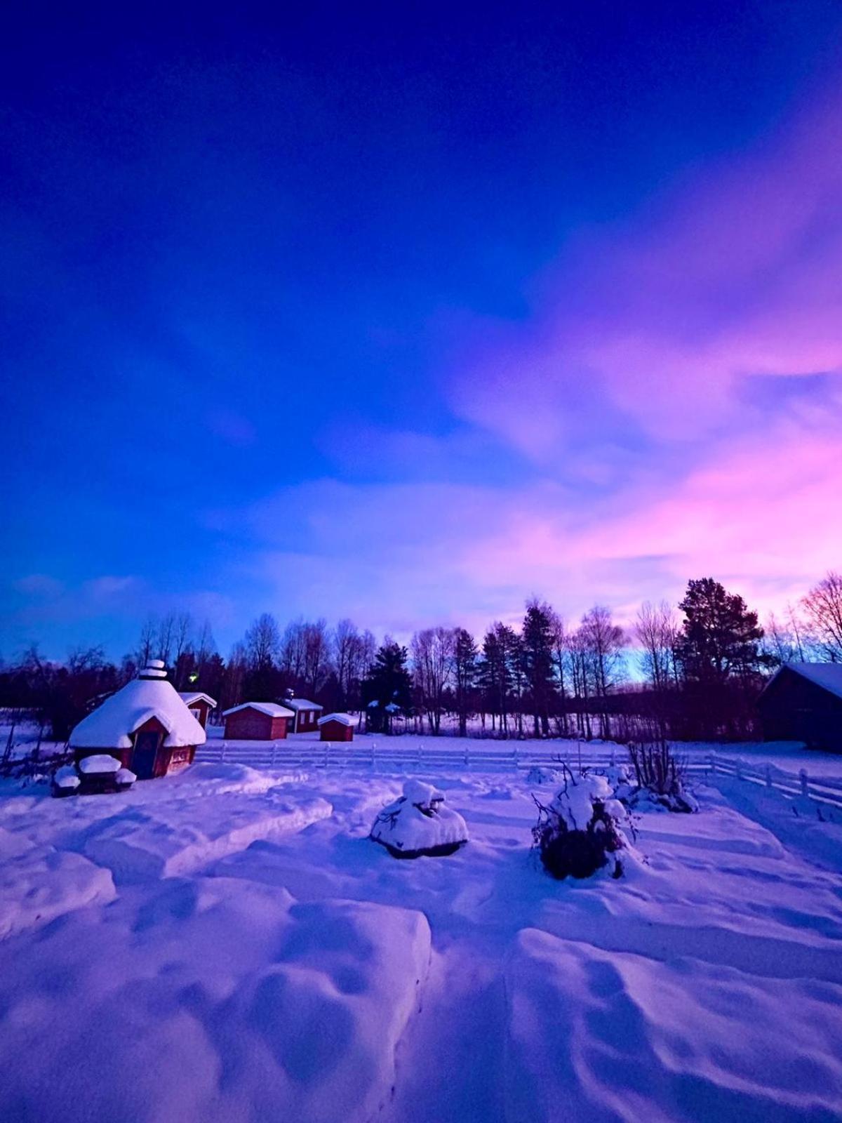 Trollforsen Camping & Cottages Gargnäs Dış mekan fotoğraf